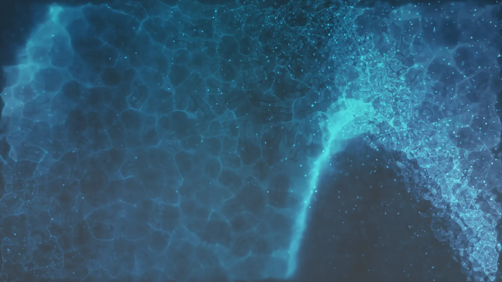 bio resonanz